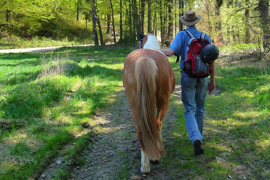 Wanderung mit Pferd